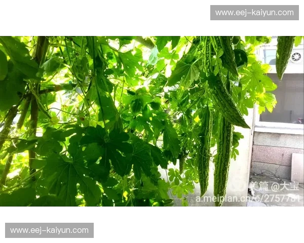 冰与火之歌的巅峰对决：当孤绝冰岛撞上极致法国，谁才是你灵魂的终极归宿？